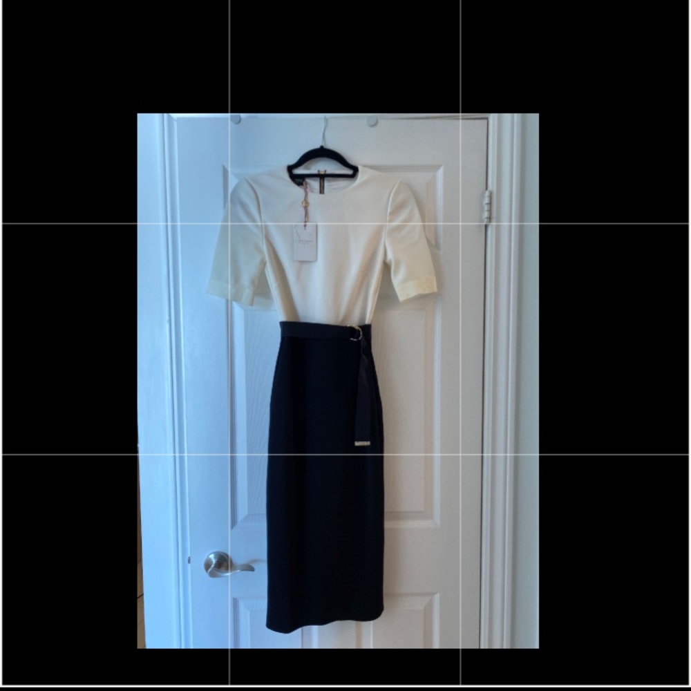 Brand new Ted Baker dress